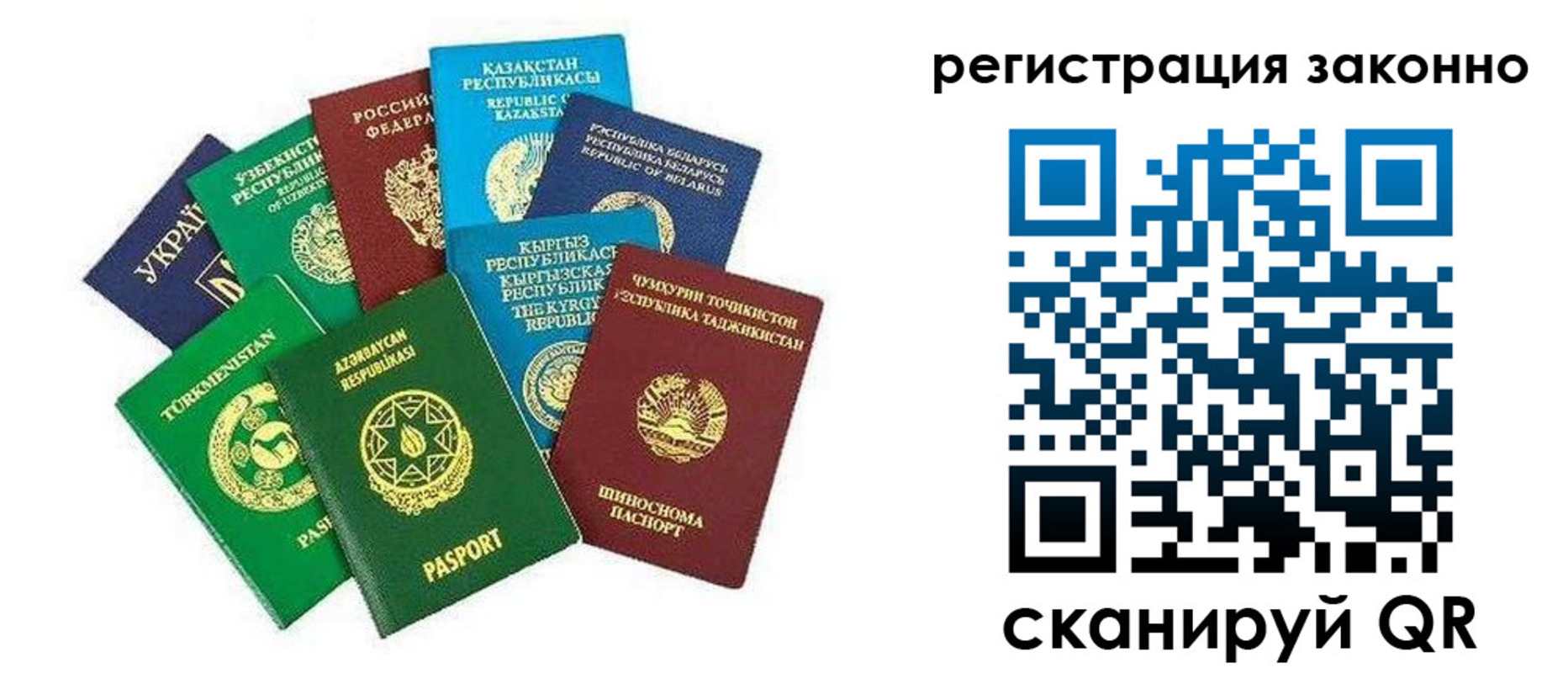 временная регистрация поиск в Ельне